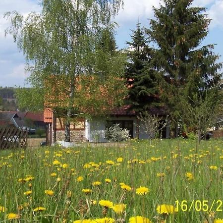 Ferienhaus Harz Villa Allrode Esterno foto