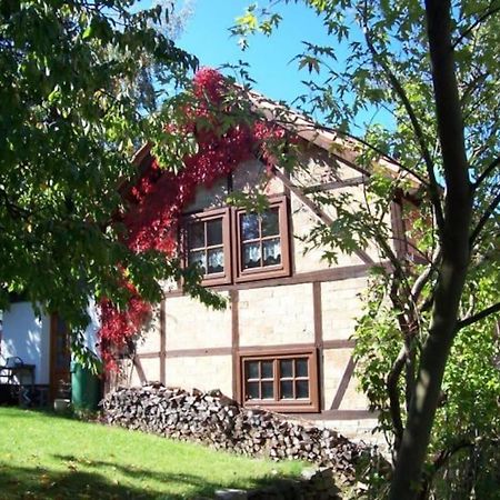 Ferienhaus Harz Villa Allrode Esterno foto