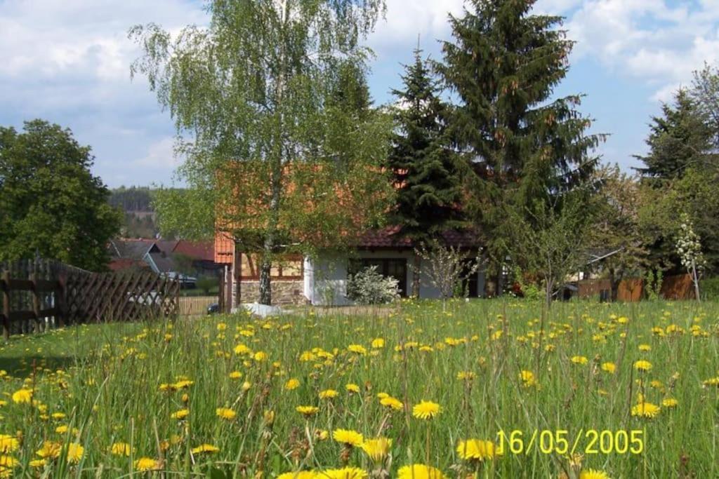 Ferienhaus Harz Villa Allrode Esterno foto