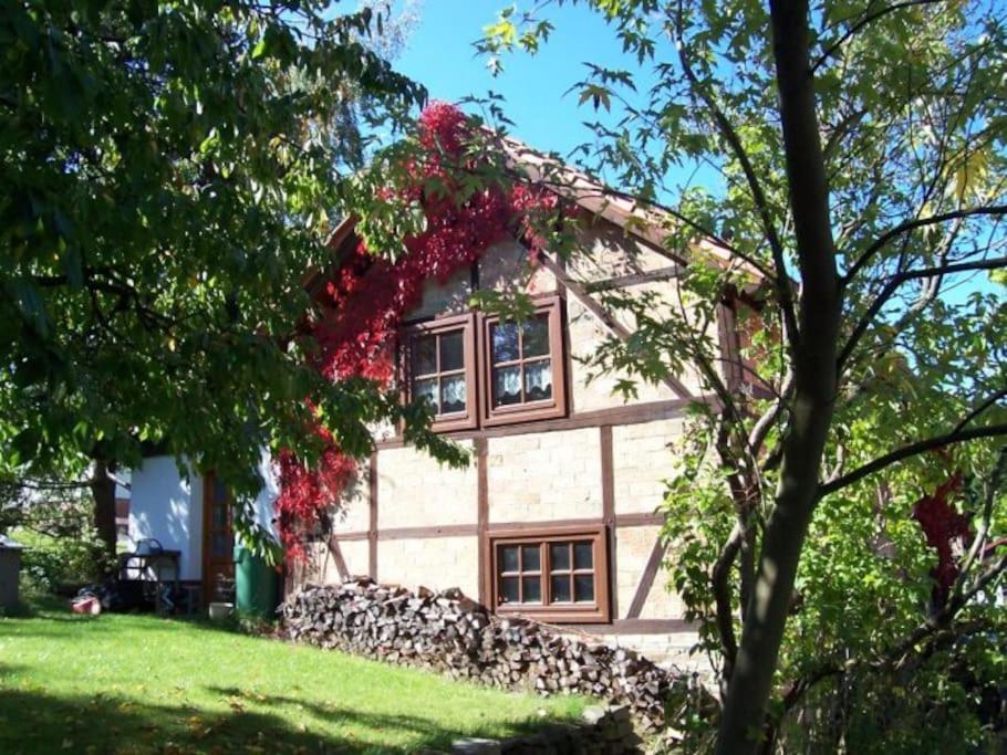 Ferienhaus Harz Villa Allrode Esterno foto