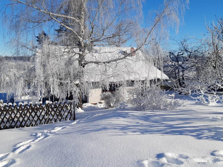 Ferienhaus Harz Villa Allrode Esterno foto